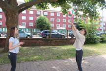 Sommerfest