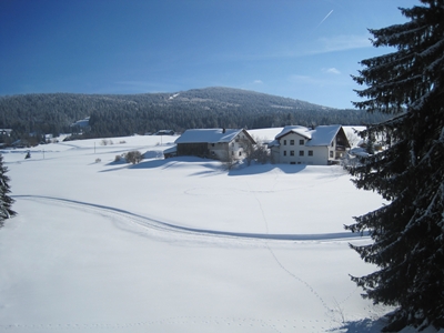 Winter 2012 2
