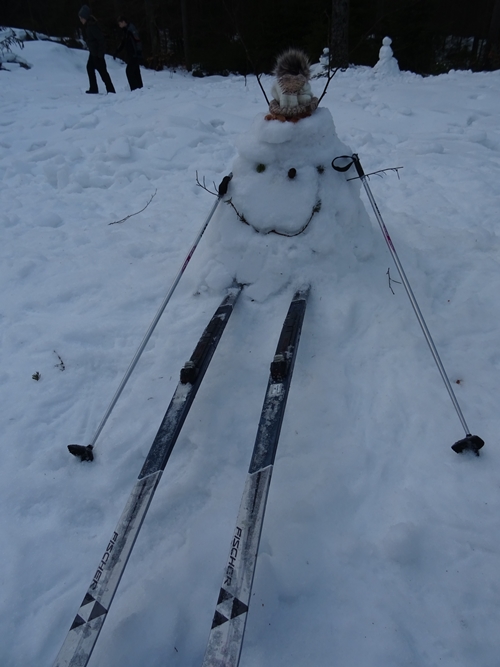 skilager_7_kl_041_20180110.jpg skilager_7_kl_041_20180110.jpg