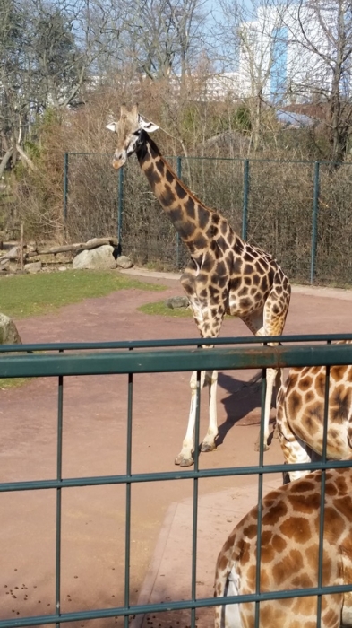 ssa_ferien_15_20180327.jpg ssa_ferien_15_20180327.jpg
